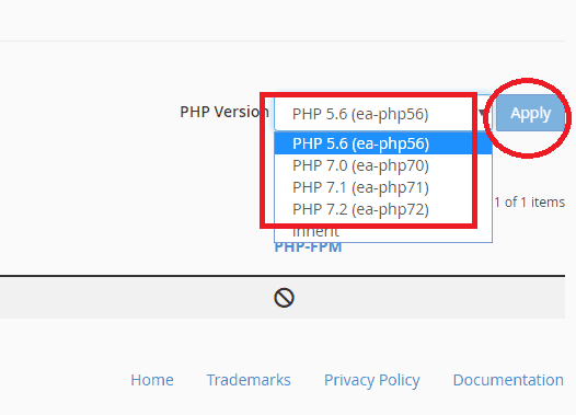 Change PHP Version of Website